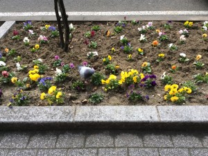 IMG_0073